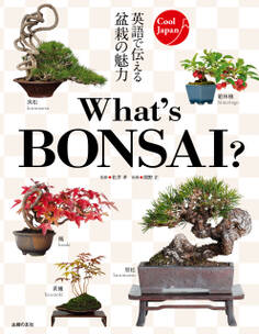 What’s BONSAI ?