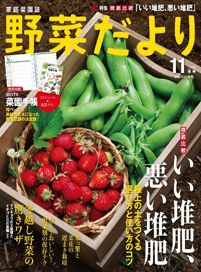野菜だより2016年11月号