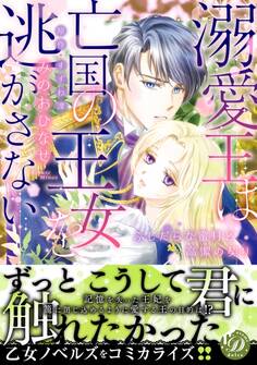 溺愛王は亡国の王女を逃がさない~ふしだらな蜜月と高潔の契り~