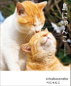 島にゃんこ