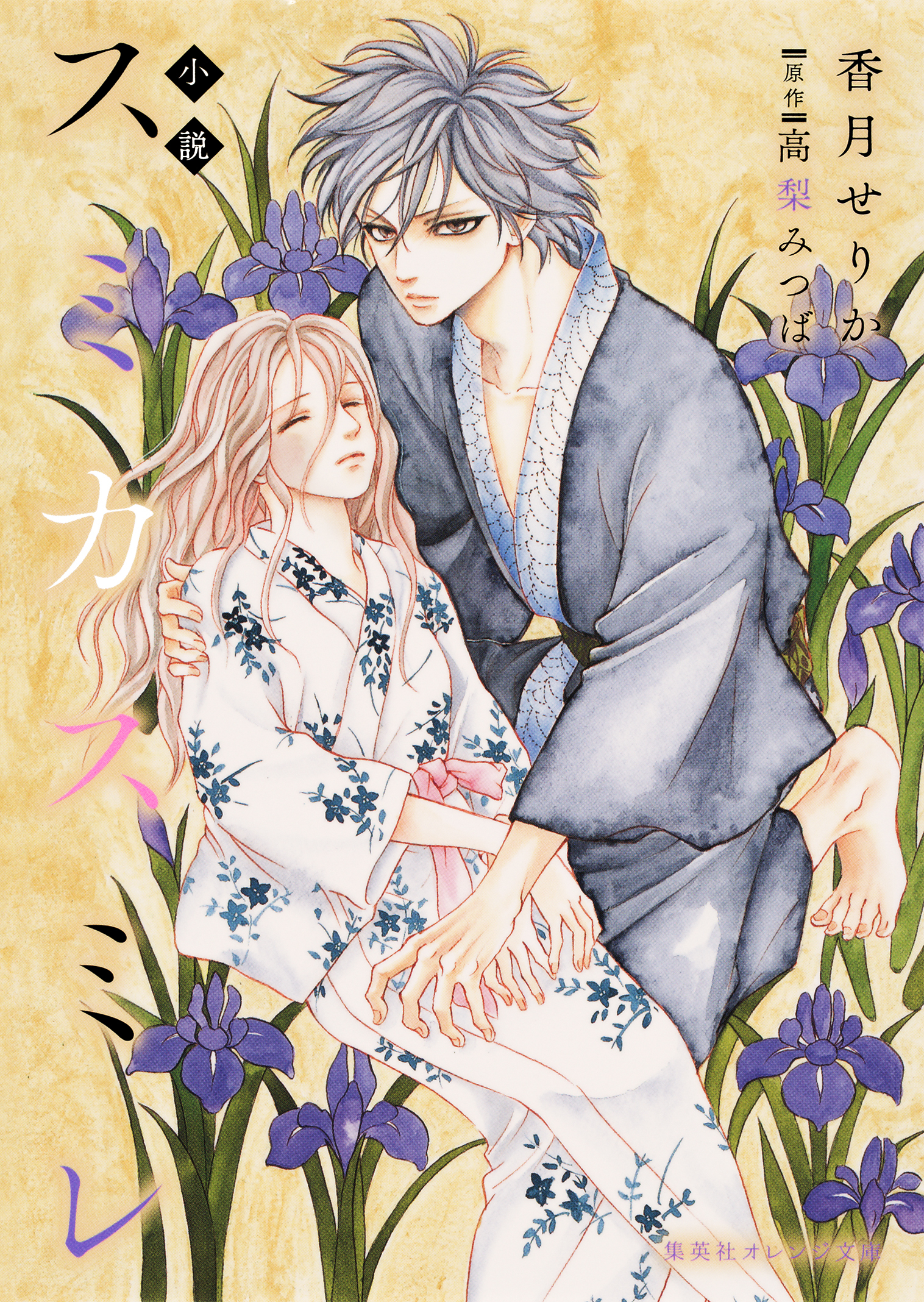 小説　スミカスミレ