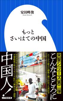 もっとさいはての中国(小学館新書)