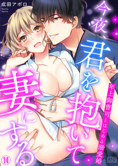 今夜、君を抱いて妻にする~年上御曹司とはじめる溺愛婚