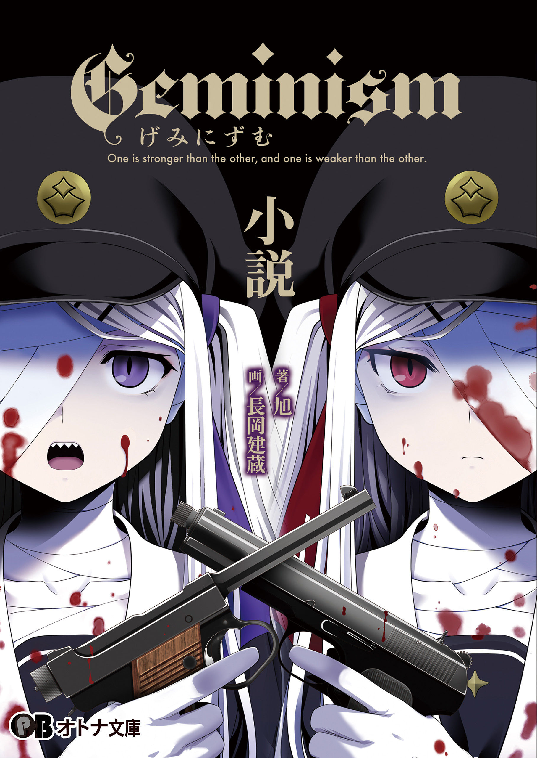 Geminism ～げみにずむ～ 小説