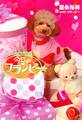 トイ・プードル絶対主義♪ 今日のフランビー フラ ひとり立ち編