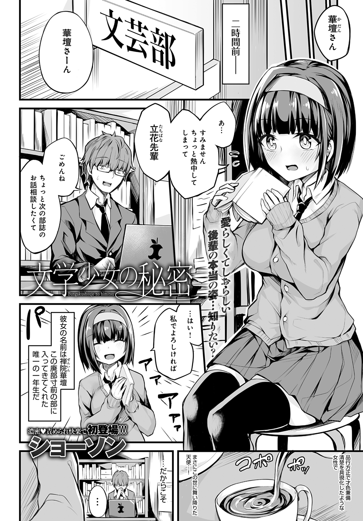 文学少女の秘密