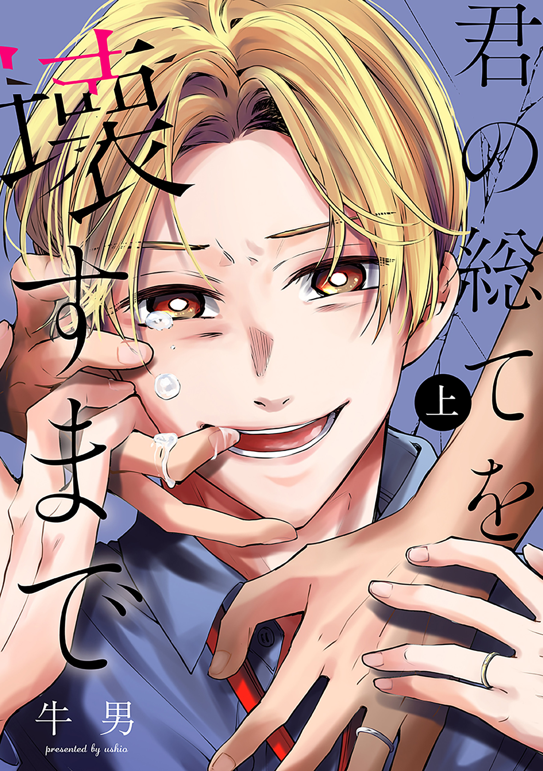 君の総てを壊すまで　上巻