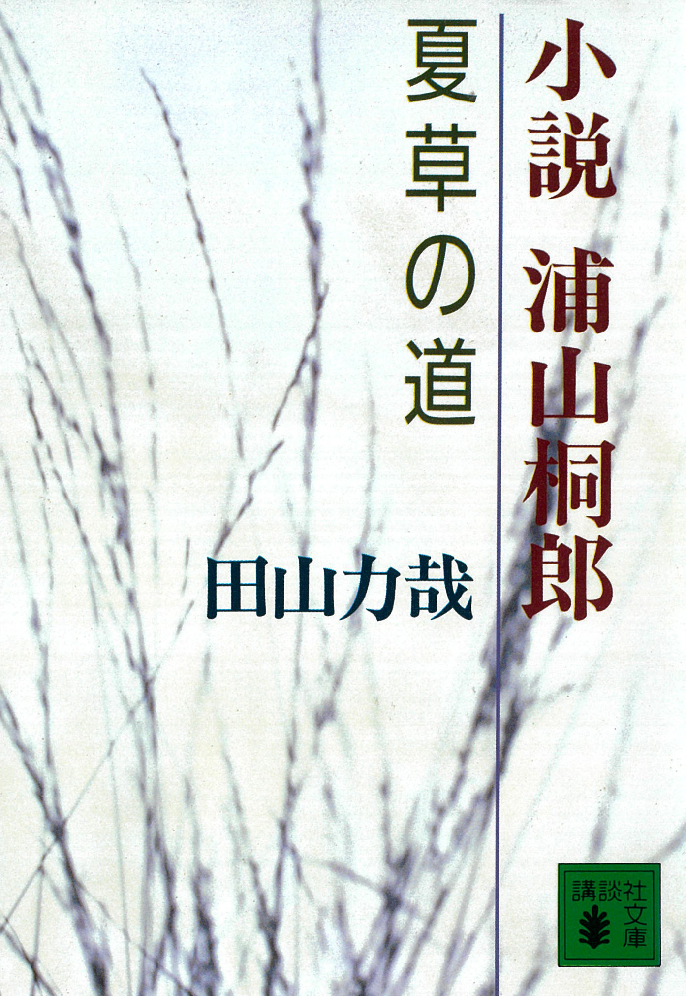 小説　浦山桐郎　夏草の道