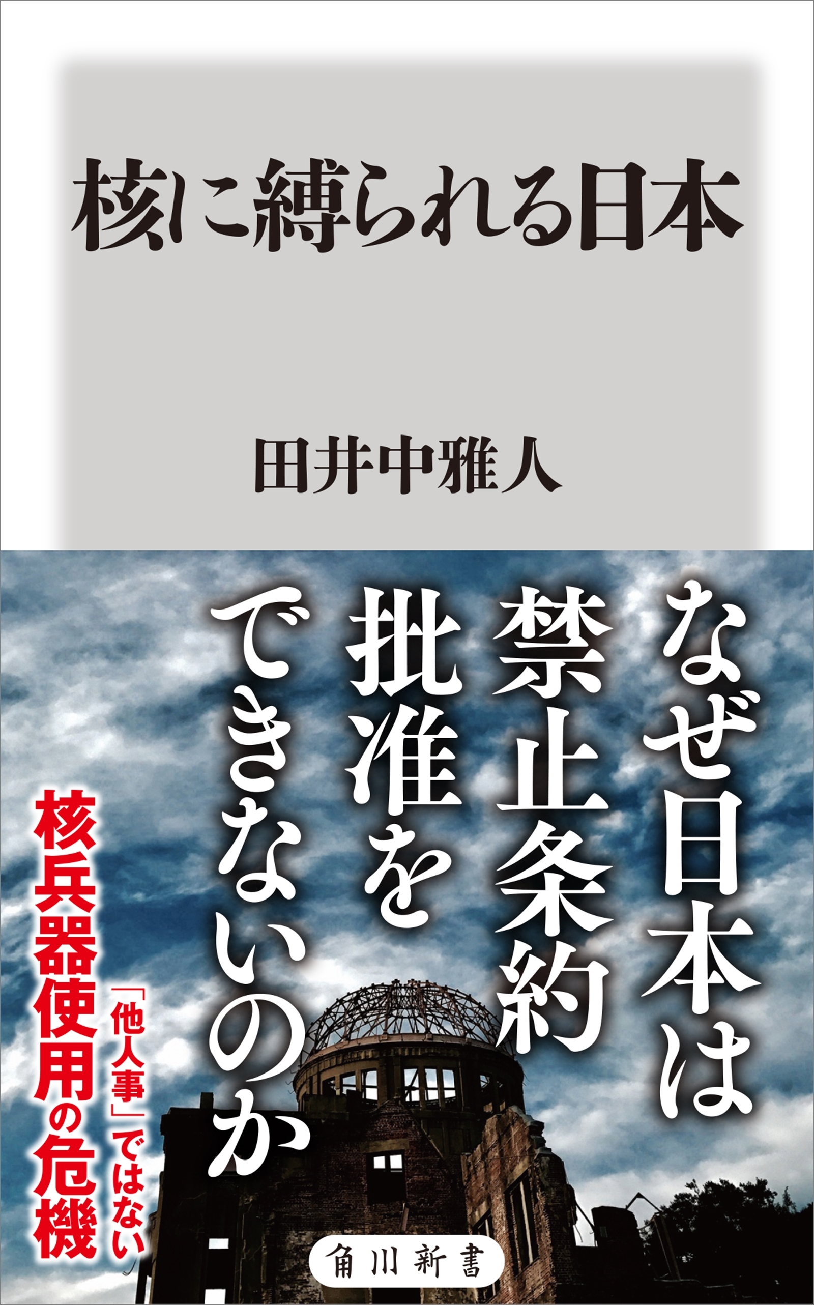 核に縛られる日本