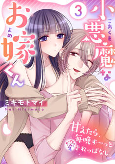 小悪魔なお嫁くん~甘えたら毎晩ずーっと愛されっぱなし(3)