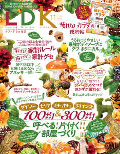 LDK 2018年11月号