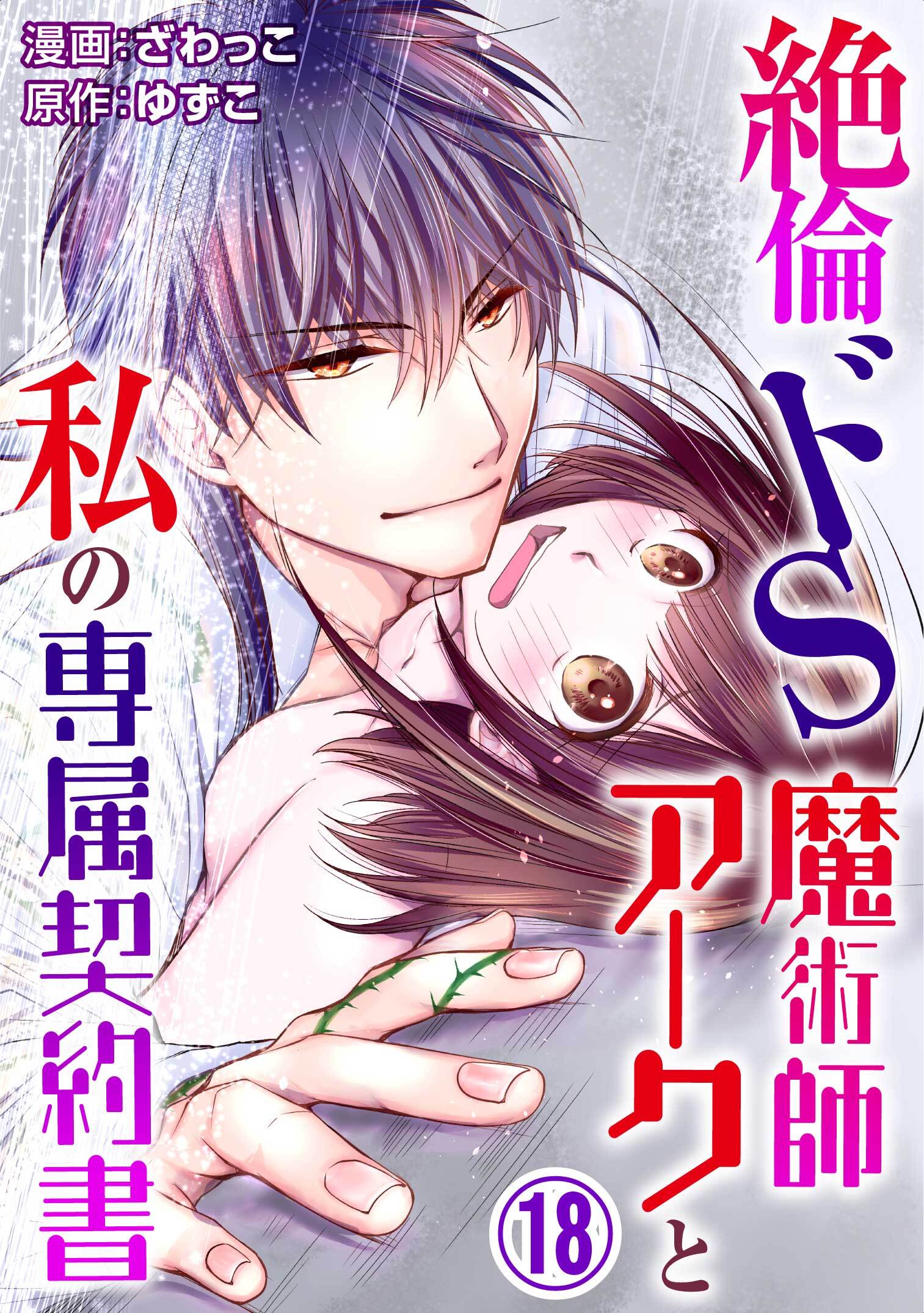 絶倫ドS魔術師アークと私の専属契約書 18