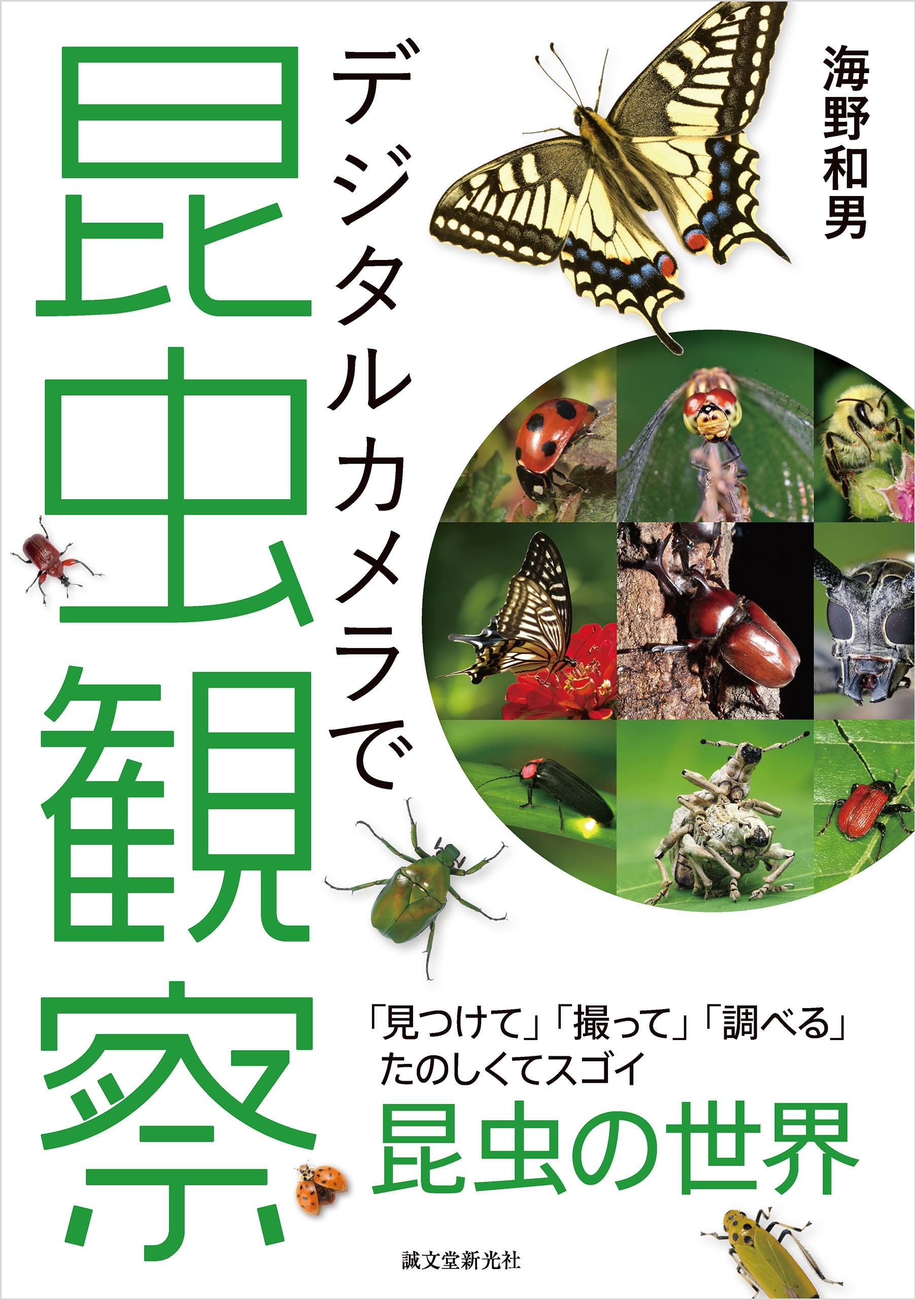 デジタルカメラで昆虫観察