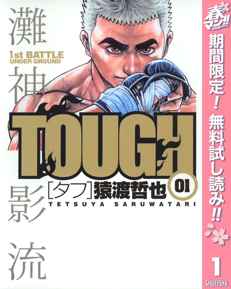TOUGH―タフ―【期間限定無料】 1