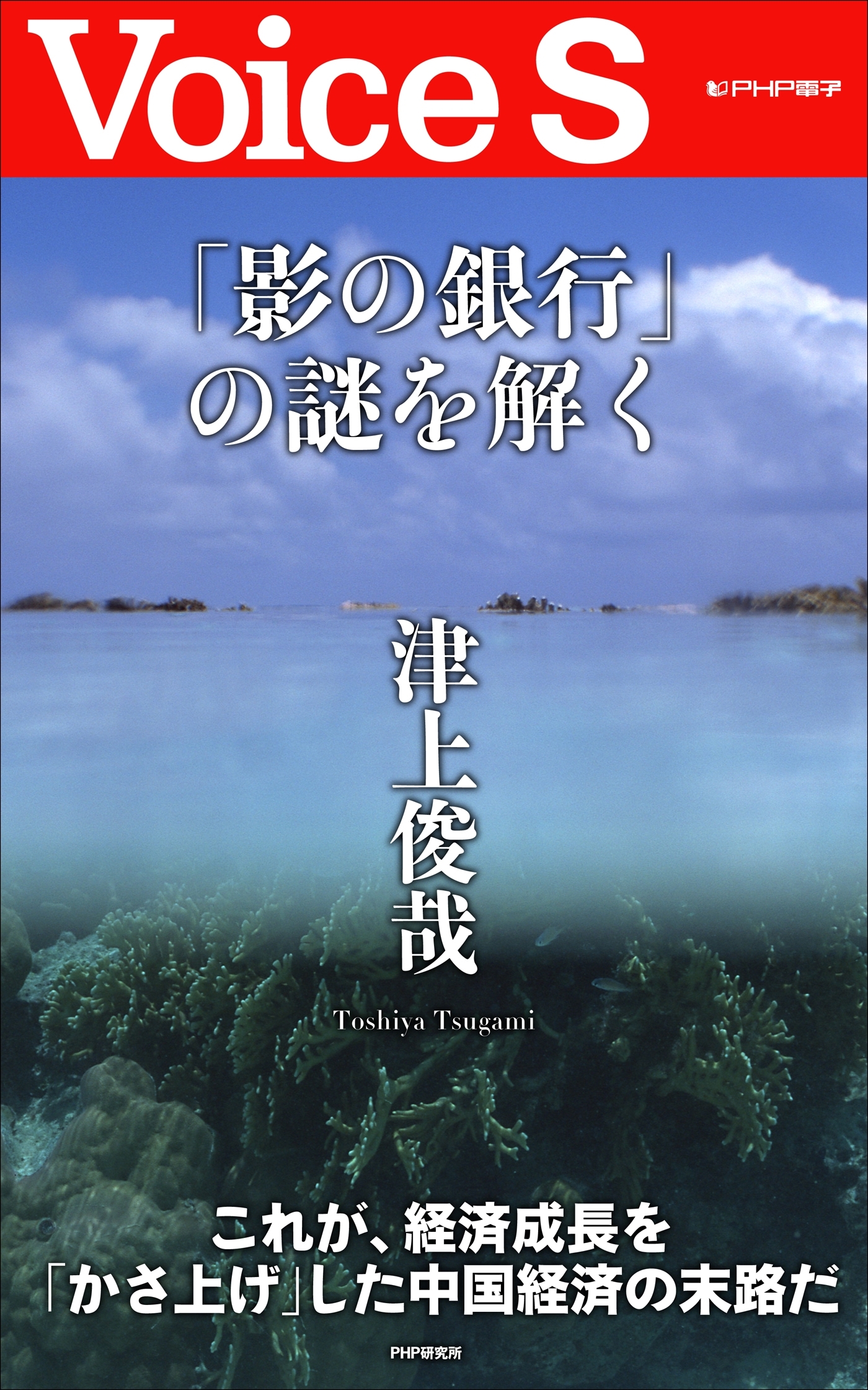 「影の銀行」の謎を解く 【Voice S】