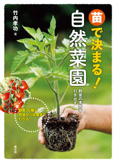 苗で決まる!自然菜園