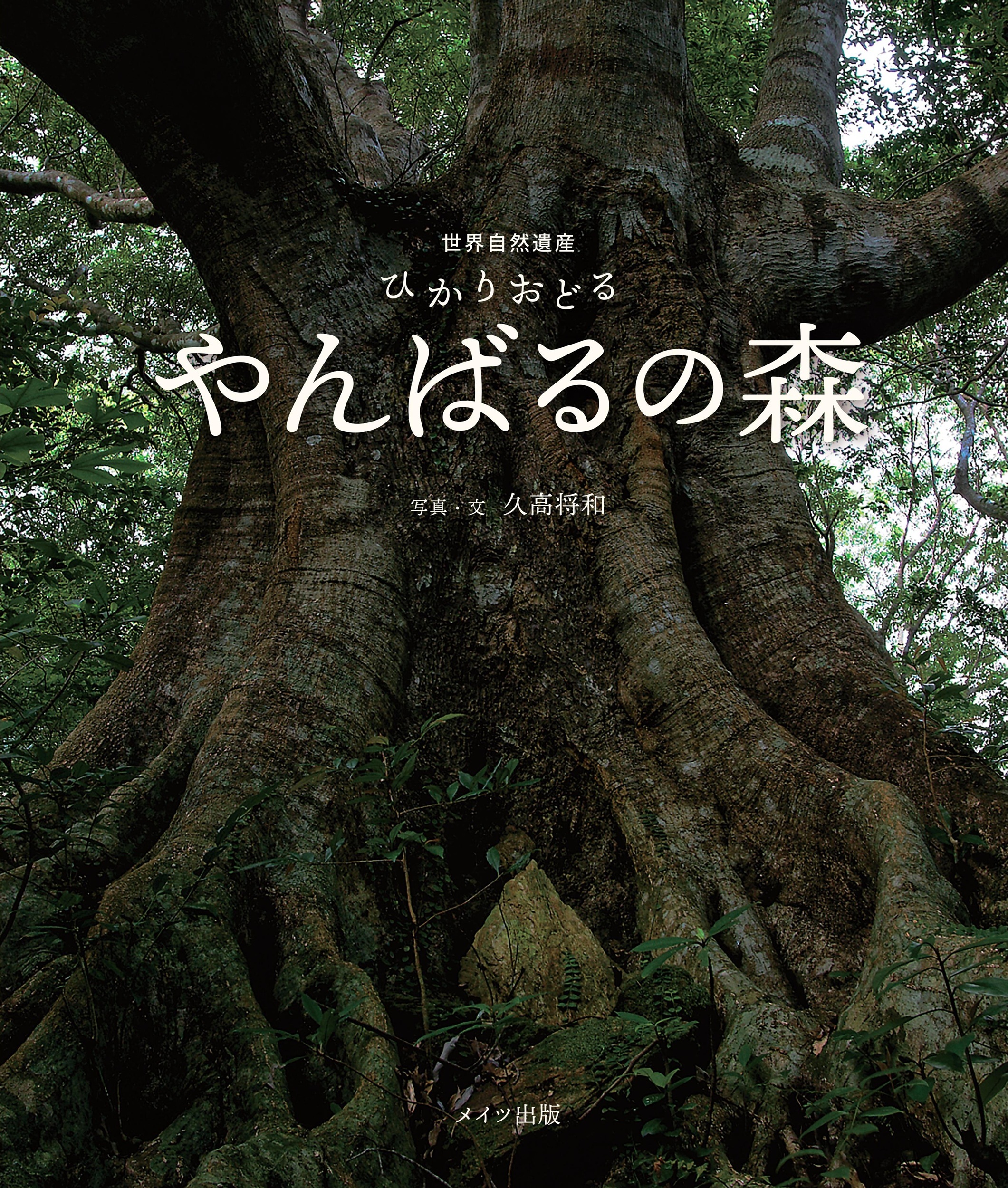 世界自然遺産 ひかりおどるやんばるの森