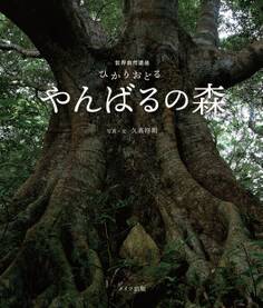 世界自然遺産 ひかりおどるやんばるの森