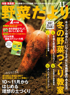 野菜だより2013年11月号