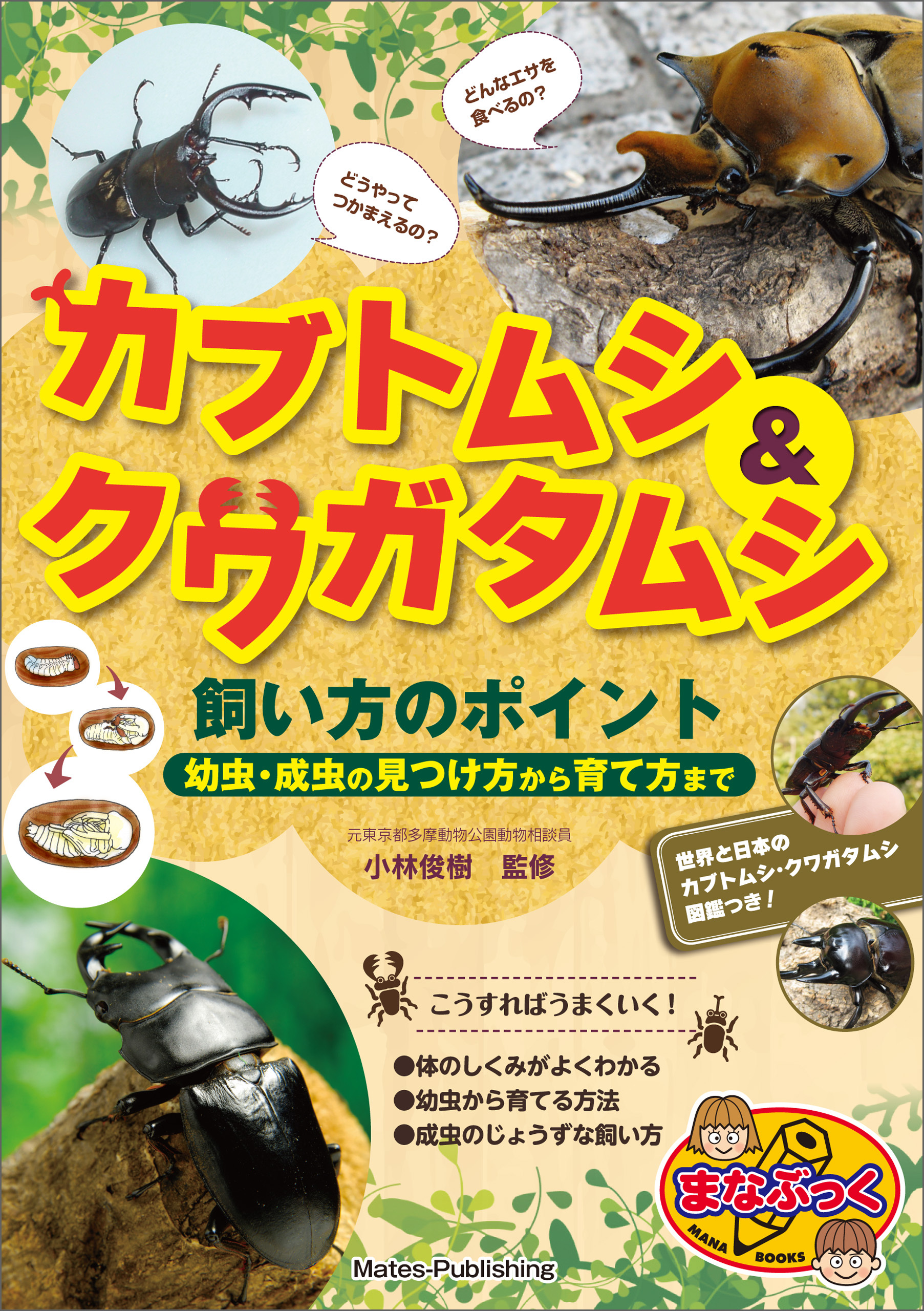 カブトムシ＆クワガタムシ　飼い方のポイント　幼虫・成虫の見つけ方から育て方まで