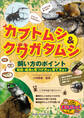 カブトムシ&クワガタムシ 飼い方のポイント 幼虫・成虫の見つけ方から育て方まで