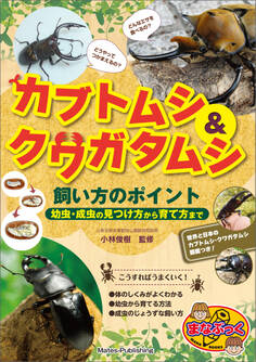 カブトムシ&クワガタムシ 飼い方のポイント 幼虫・成虫の見つけ方から育て方まで