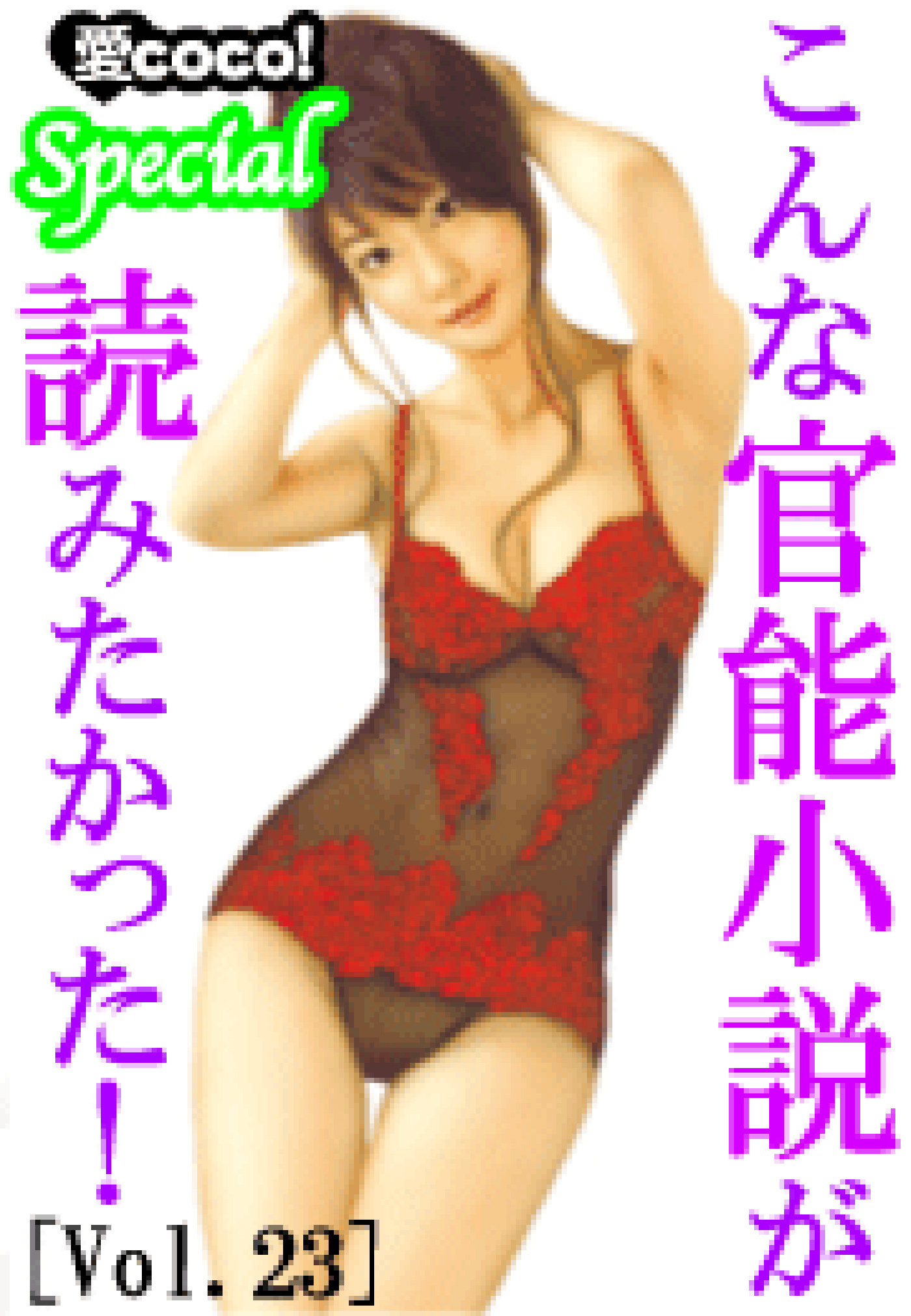 こんな官能小説が読みたかった！vol.23