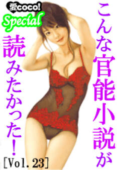 こんな官能小説が読みたかった!vol.23