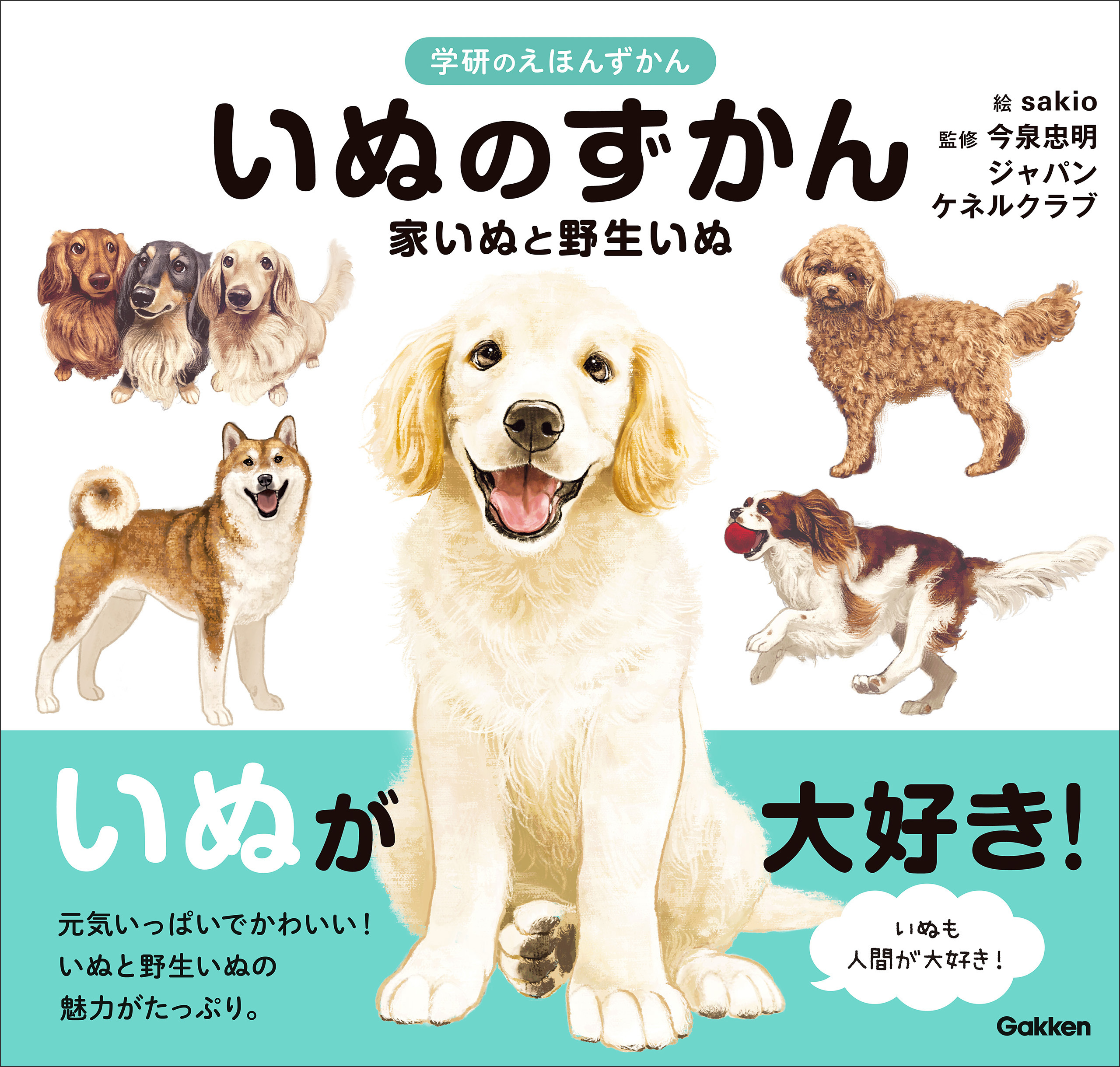 いぬのずかん 家いぬと野生いぬ