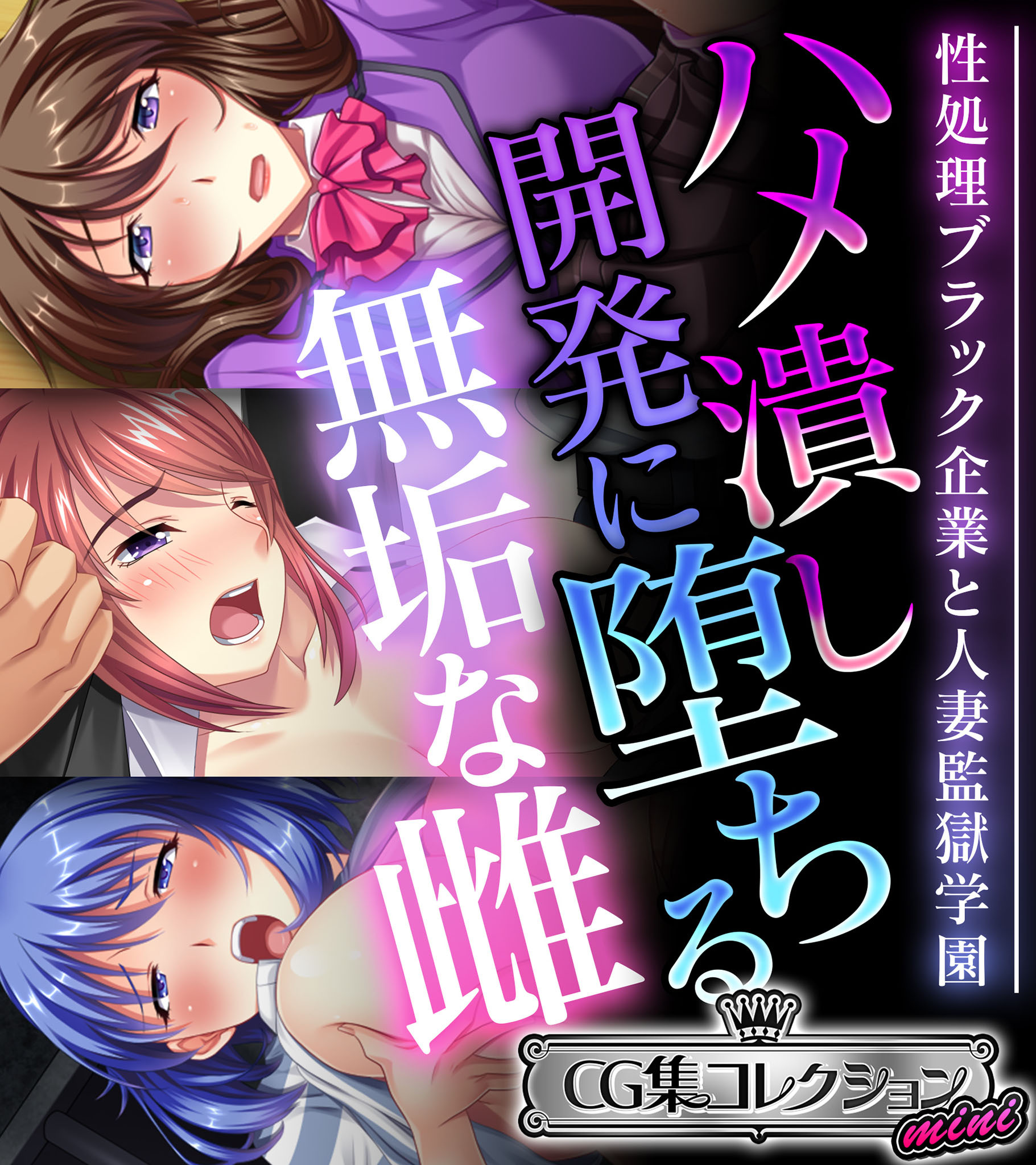 ハメ潰し開発に堕ちる無垢な雌 ～性処理ブラック企業と人妻監獄学園～【CG集コレクション ミニ】
