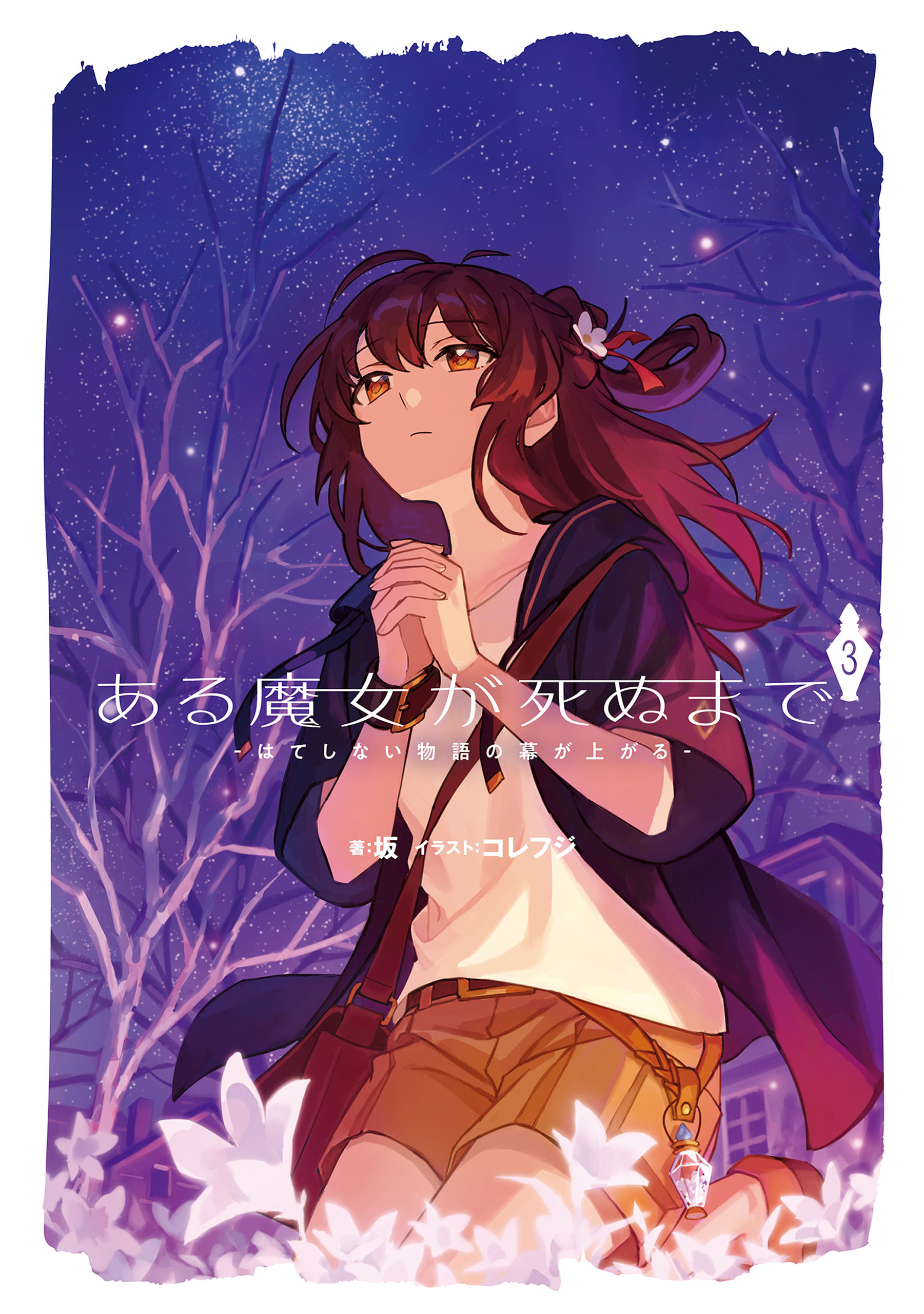 ある魔女が死ぬまで３　-はてしない物語の幕が上がる-