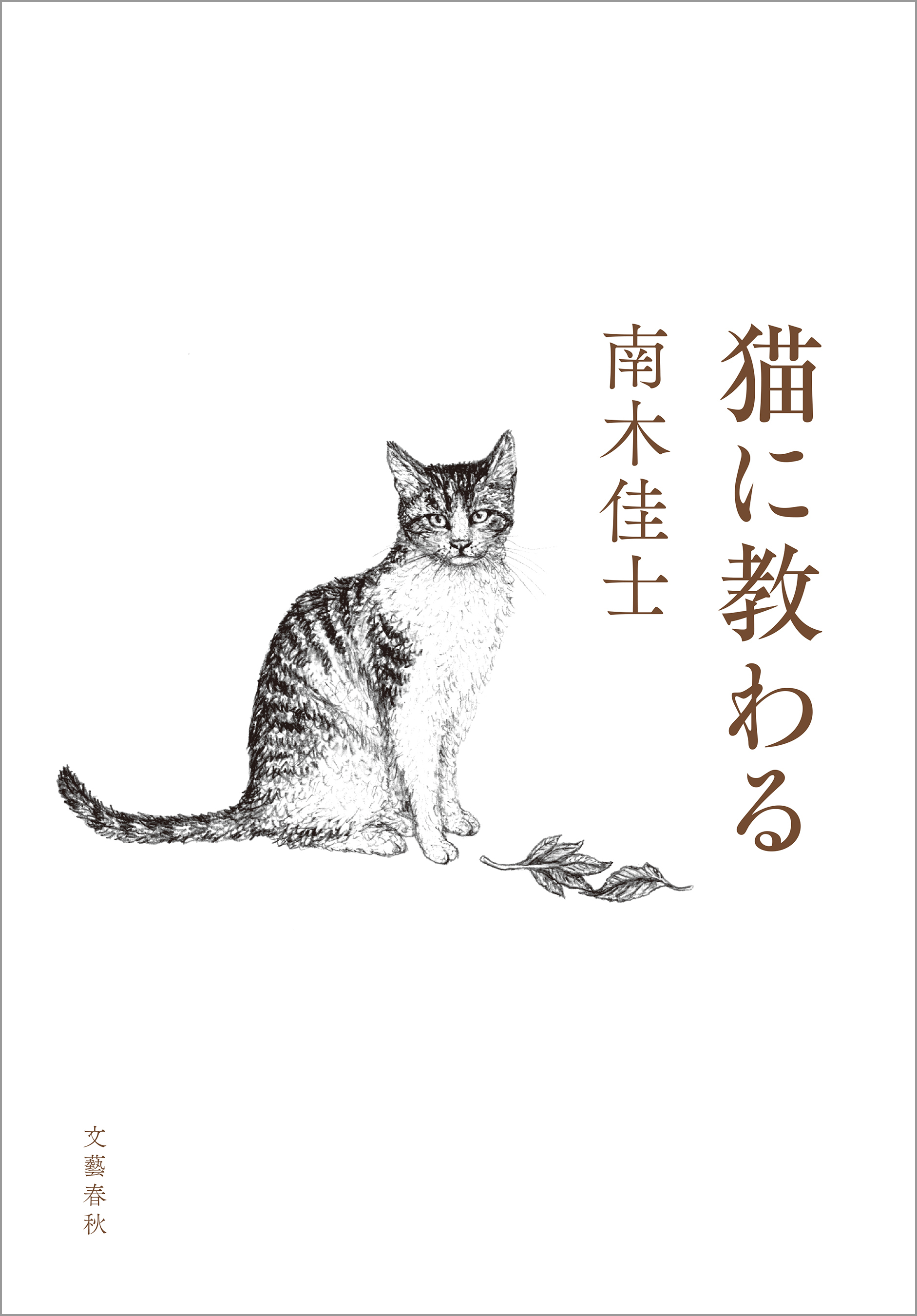 猫に教わる