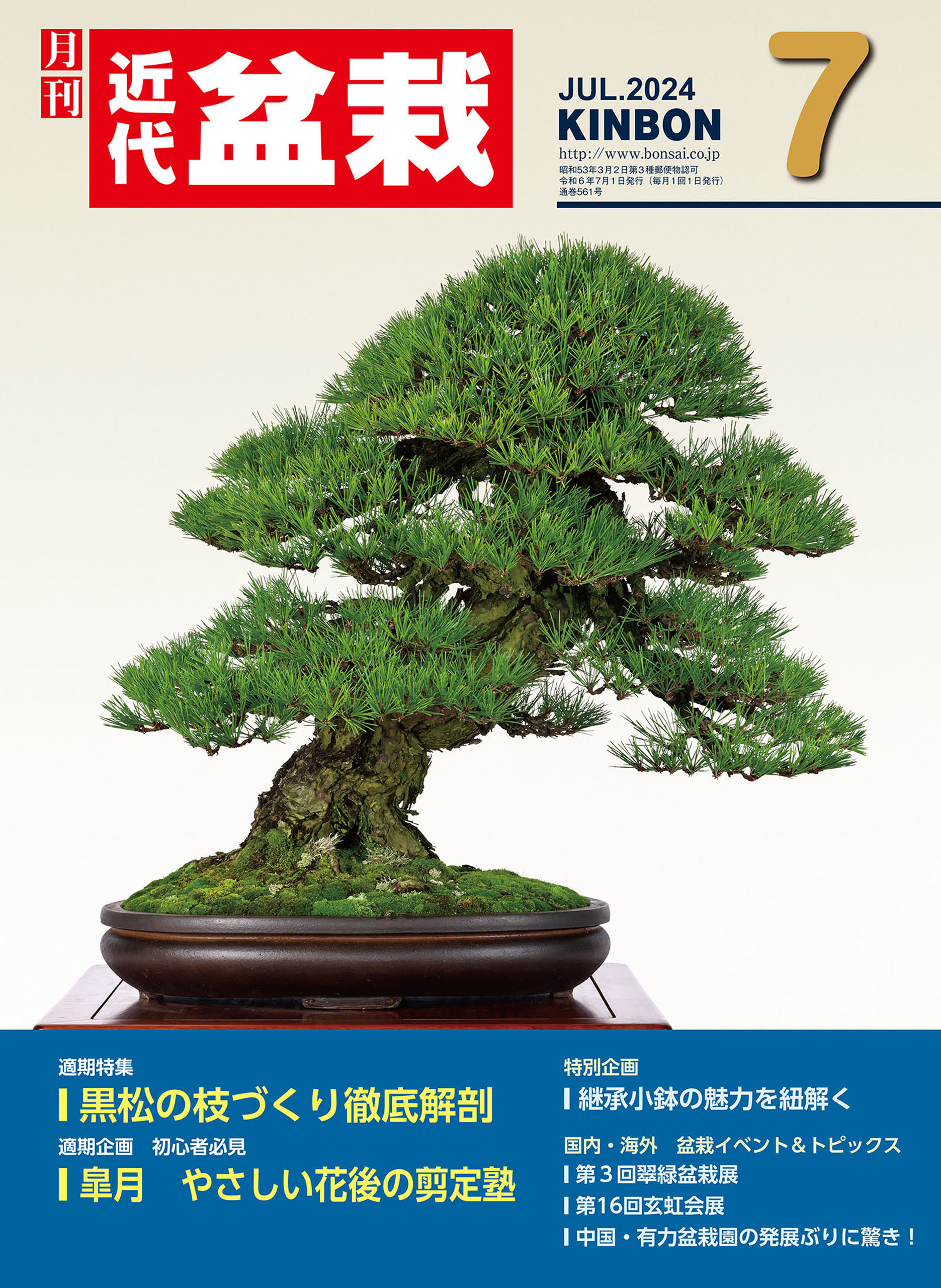 近代盆栽2024年7月号