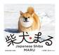 柴犬まる【ミニ写真集付き 電子特別版】