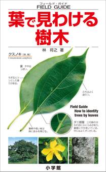 葉で見わける樹木 フィールド・ガイド
