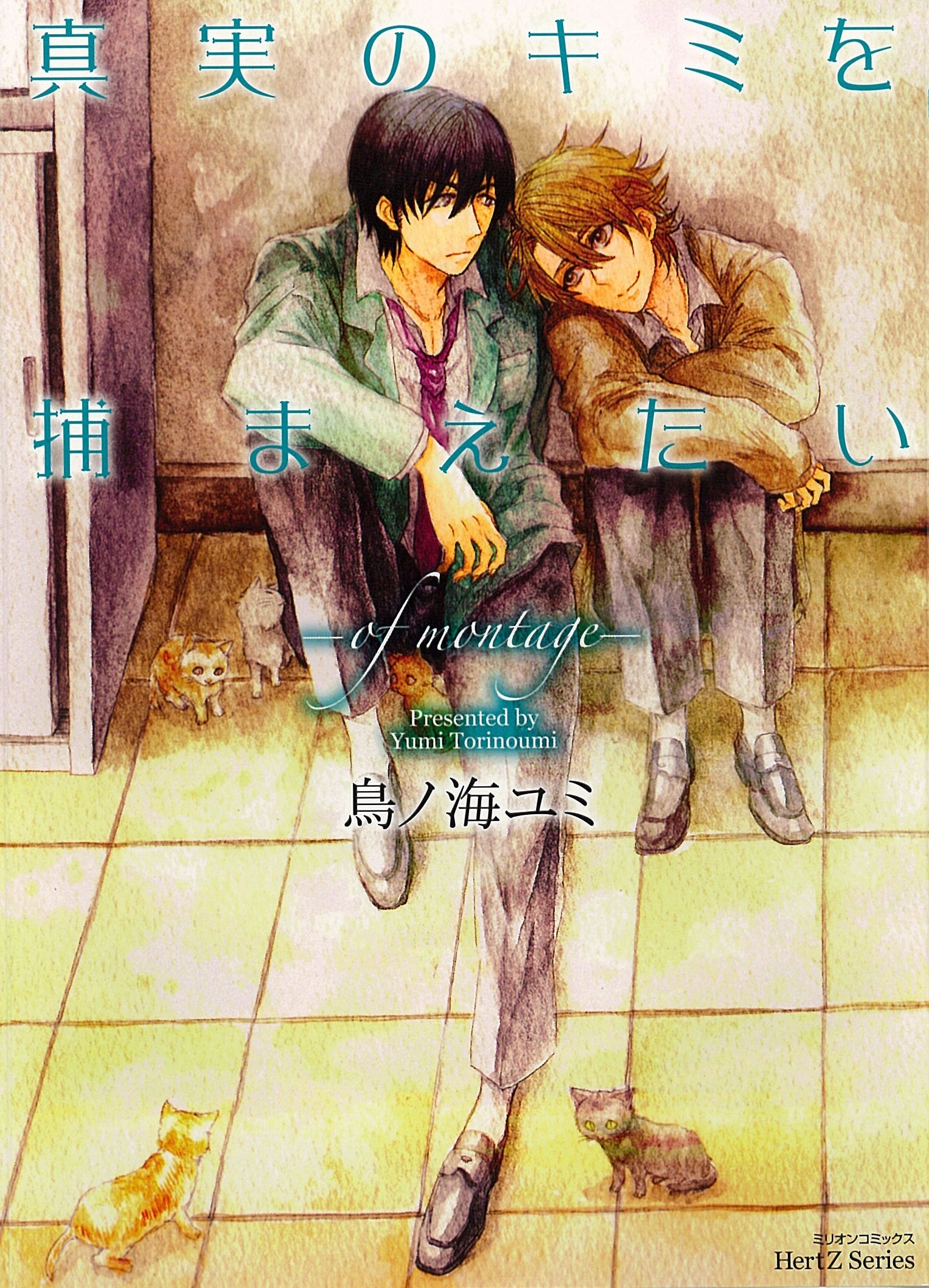 真実のキミを捕まえたい-of montage-