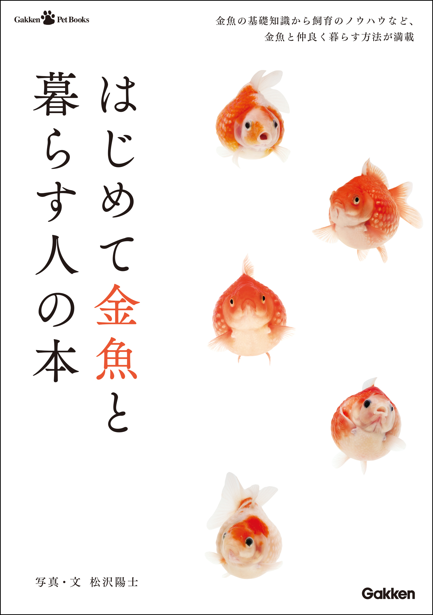 はじめて金魚と暮らす人の本