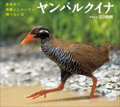 ヤンバルクイナ ~世界中で沖縄にしかいない飛べない鳥~(小学館の図鑑NEOの科学絵本)