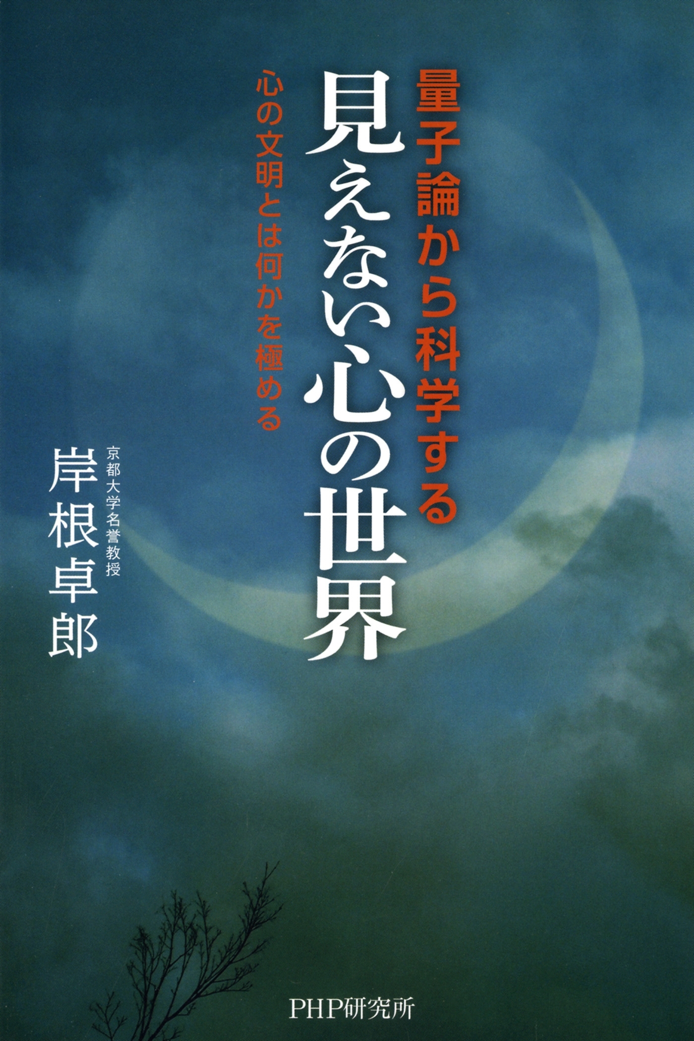 量子論から科学する「見えない心の世界」