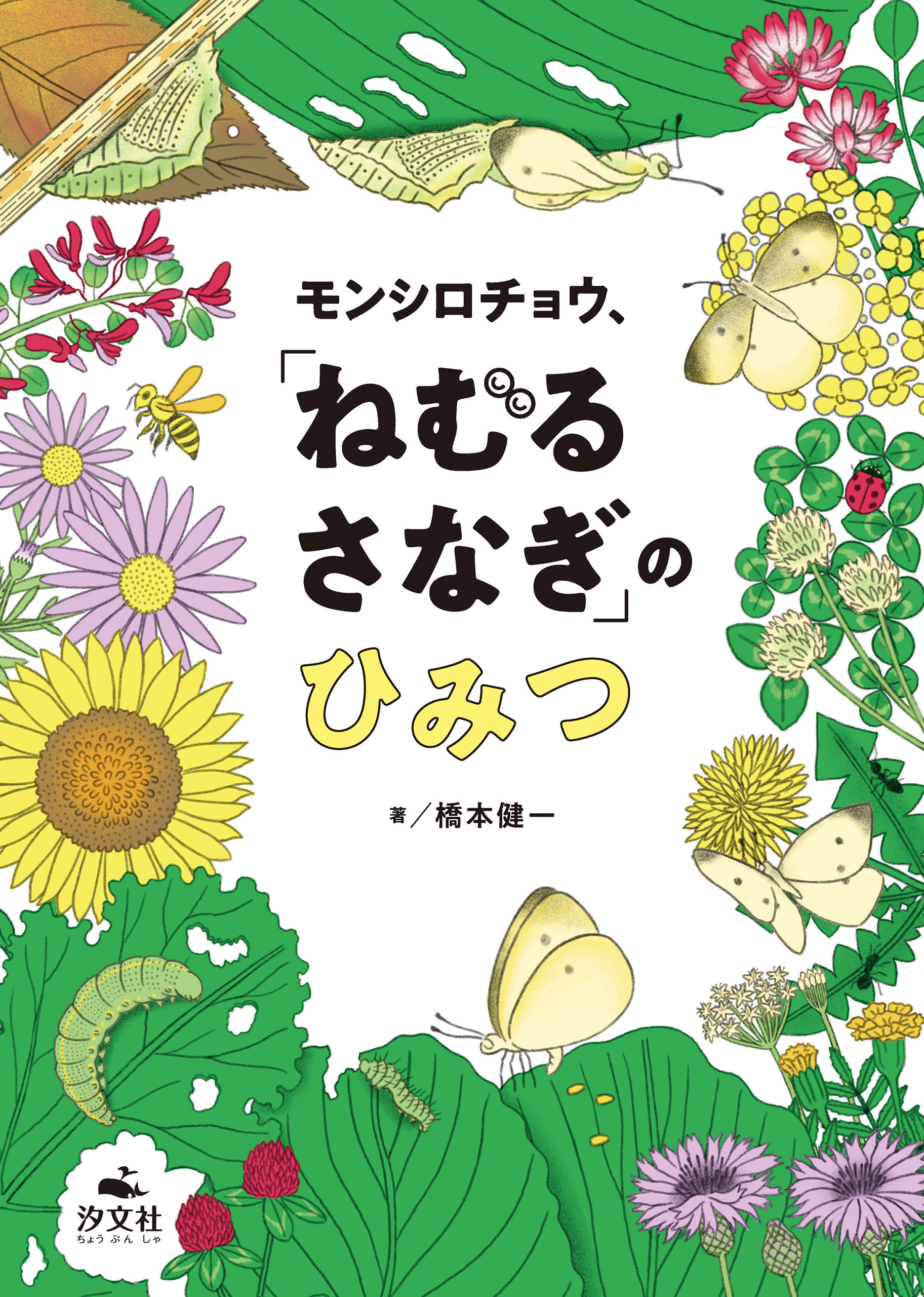 モンシロチョウ、「ねむる　さなぎ」のひみつ