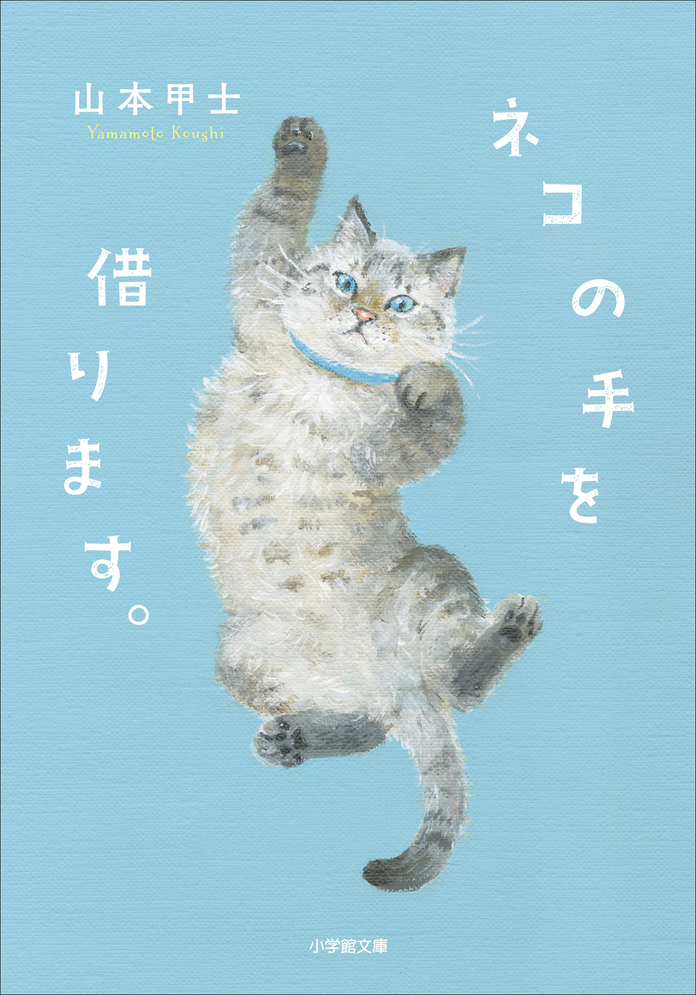 ネコの手を借ります。