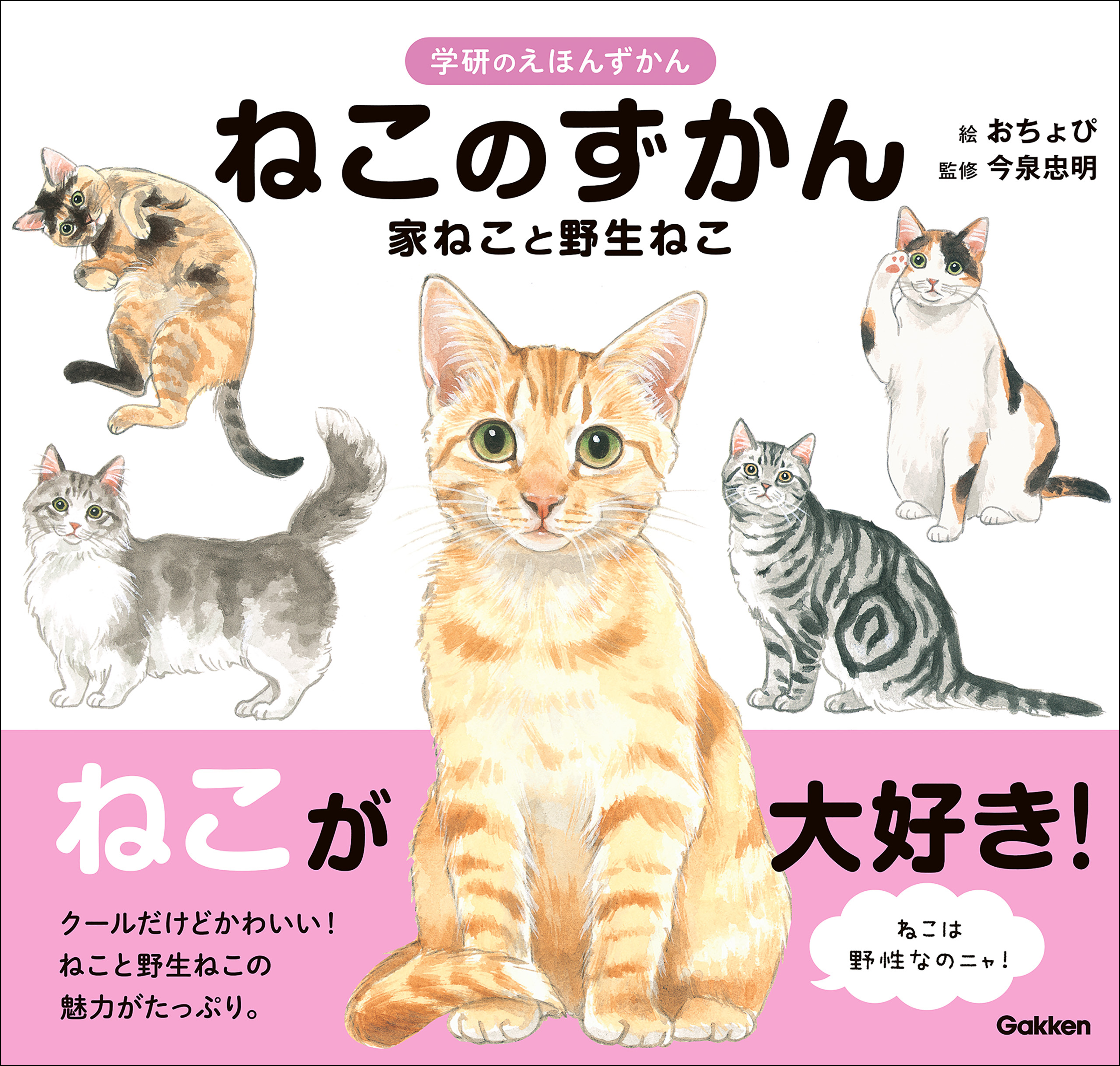 ねこのずかん 家ねこと野生ねこ