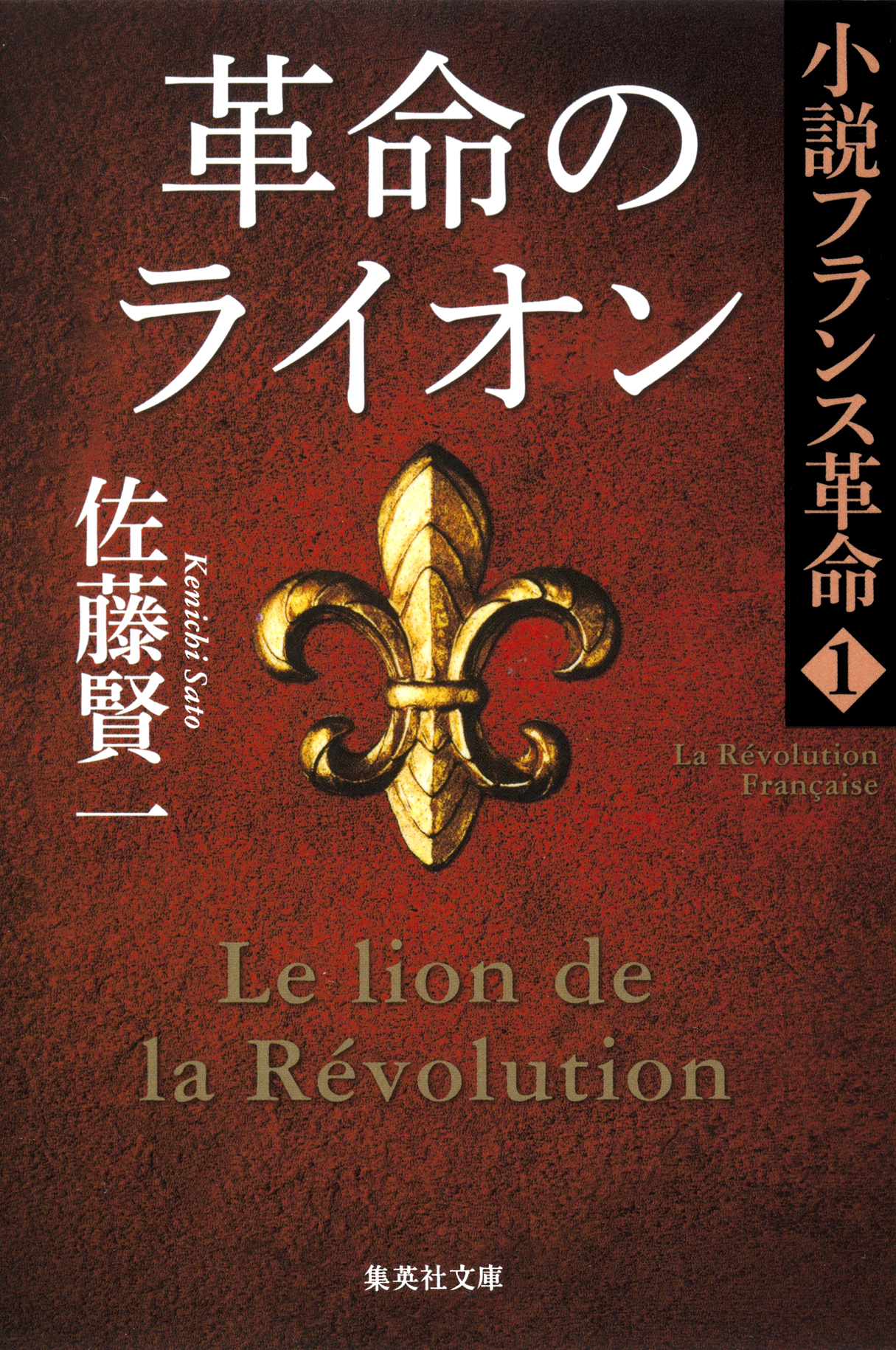 革命のライオン　小説フランス革命１