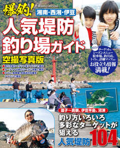 湘南西湘伊豆爆釣!人気堤防釣り場ガイド