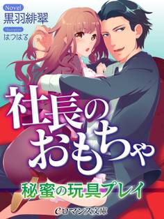 er-社長のおもちゃ 秘蜜の玩具プレイ