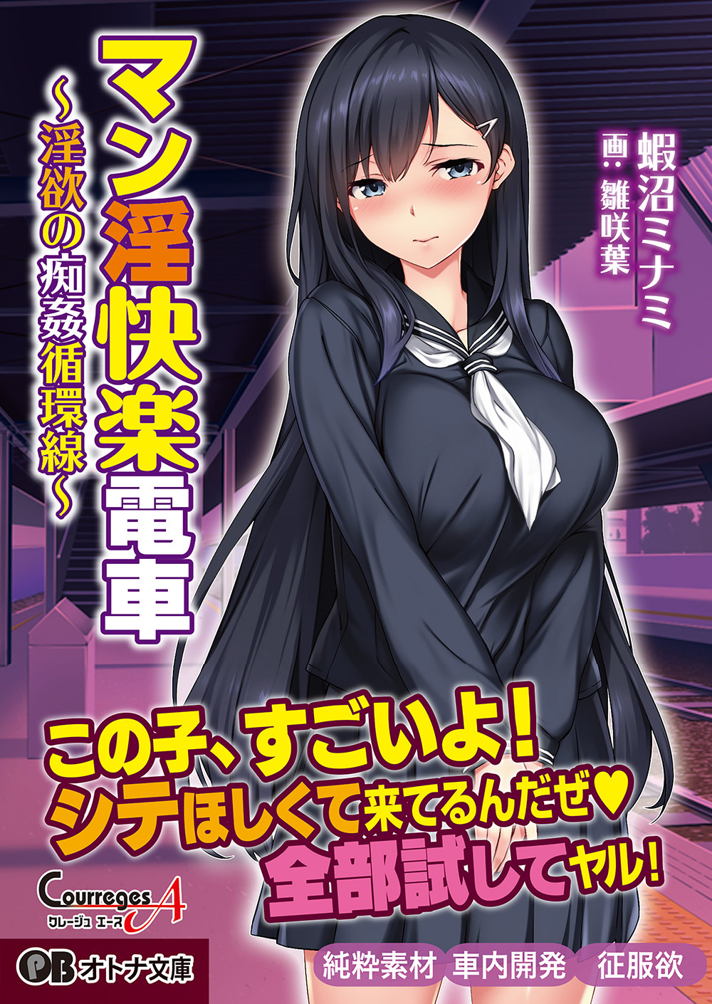 マン淫快楽電車 ～淫欲の痴姦循環線～