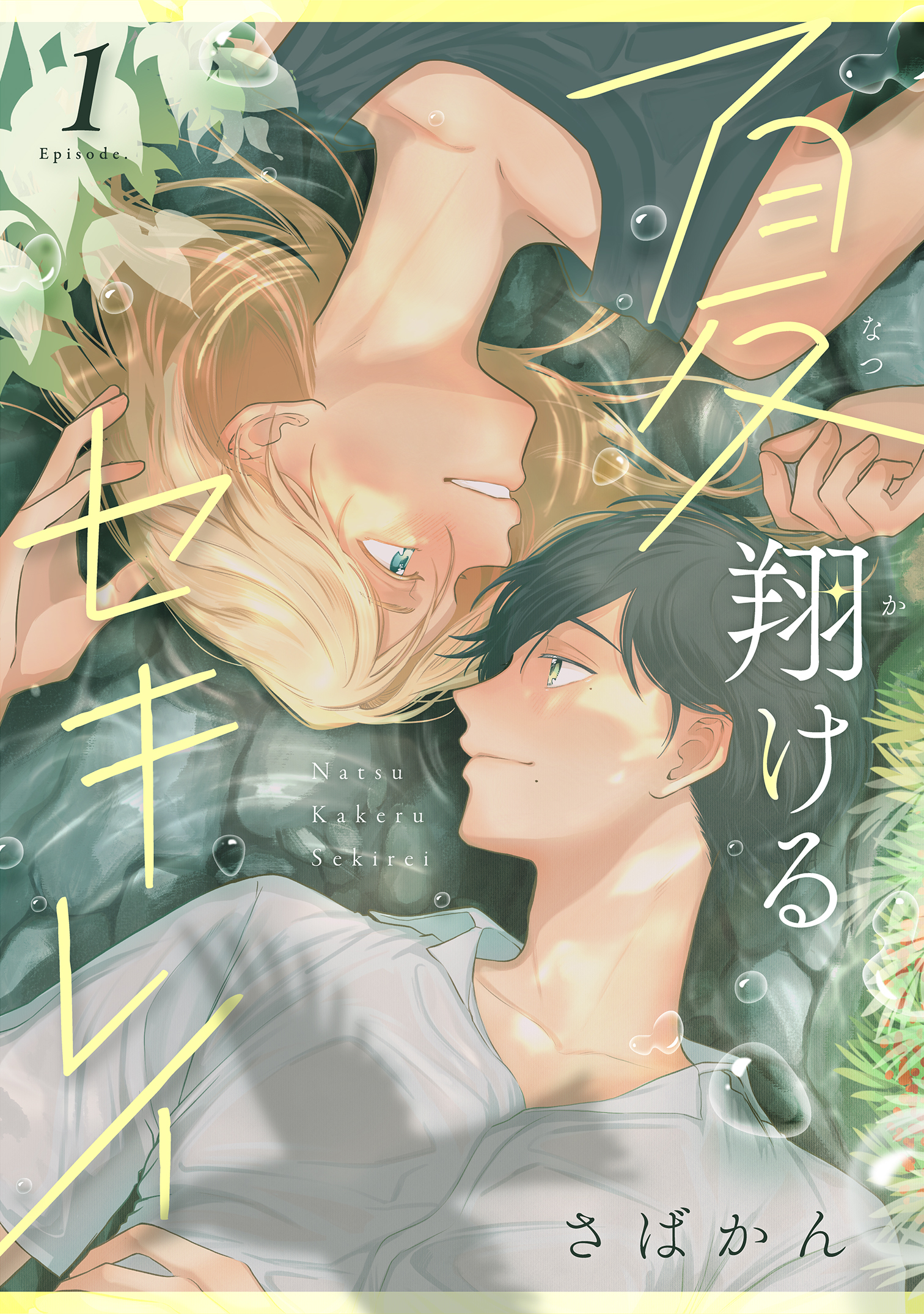 【期間限定　無料お試し版】夏翔けるセキレイ1