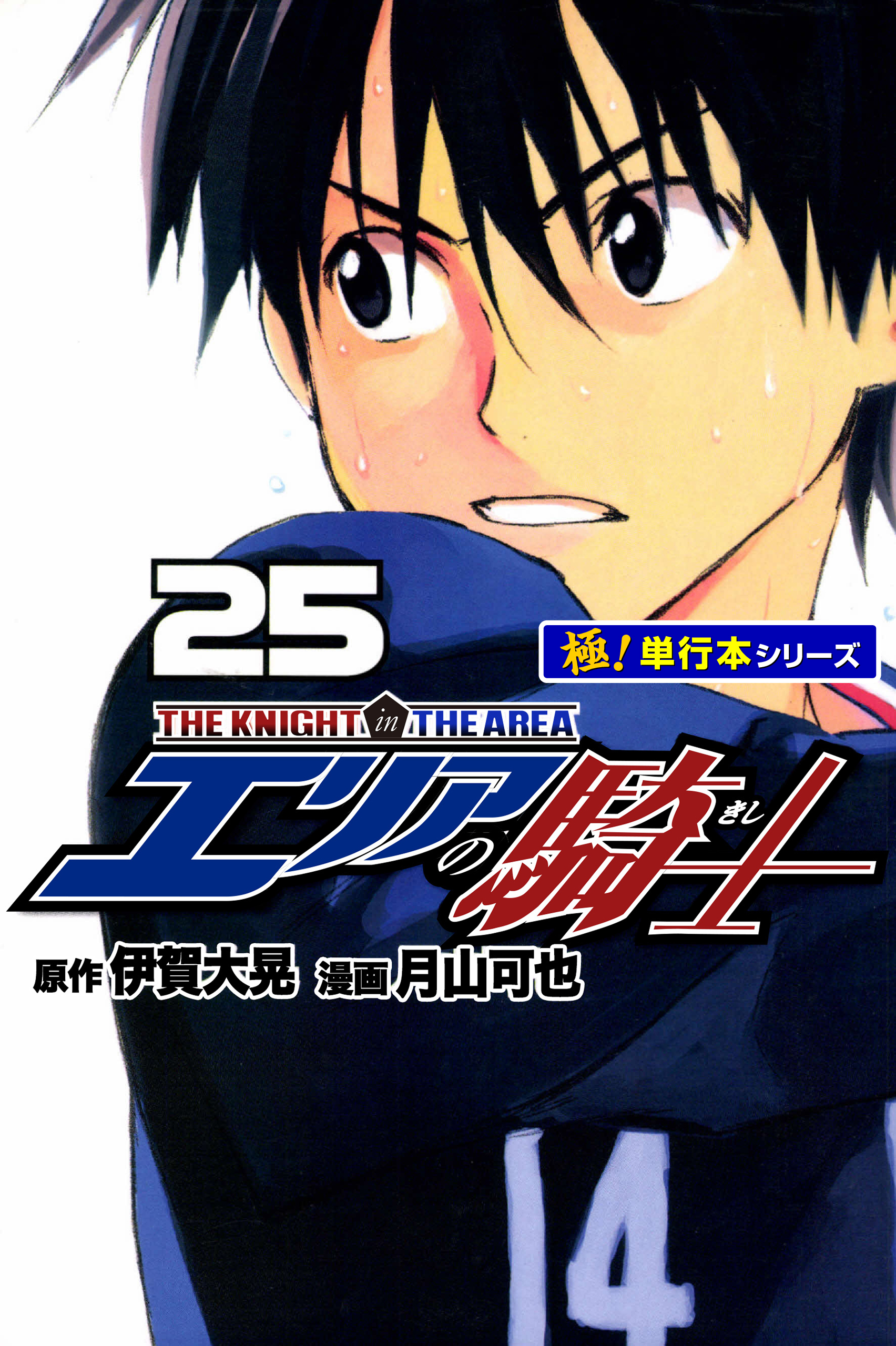 エリアの騎士【極！単行本シリーズ】25巻