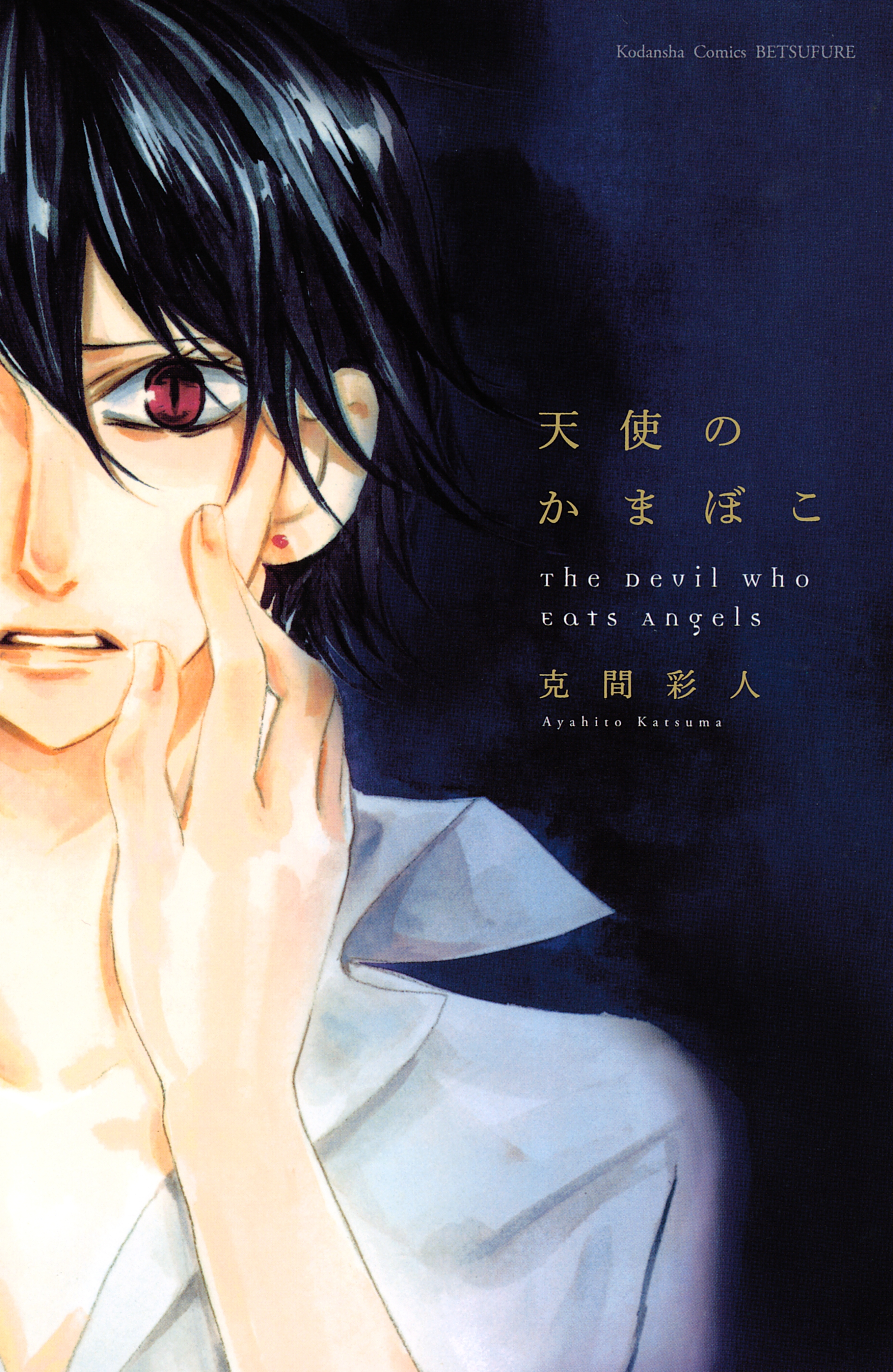 天使のかまぼこ 1 無料 試し読みなら Amebaマンガ 旧 読書のお時間です 天使のかまぼこ 1 無料 試し読みなら Amebaマンガ 旧 読書のお時間です