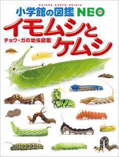 小学館の図鑑NEO イモムシとケムシ ~チョウ・ガの幼虫図鑑~